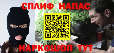дмт Донской