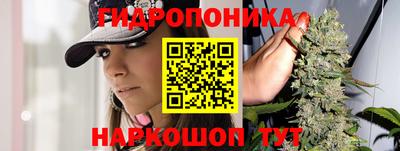 дмт Донской