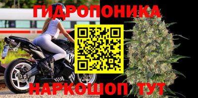 дмт Донской