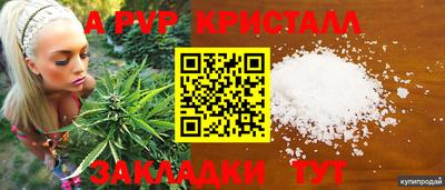 дмт Донской