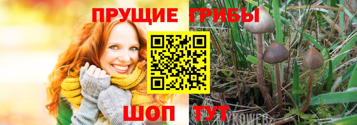 Галлюциногенные грибы MAGIC MUSHROOMS  Псилоцибиновые грибы прущие грибы  Вход с VPN  Лесозаводск 